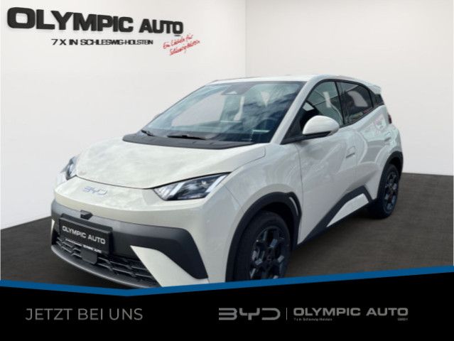 BYD DOLPHIN 3.000 km 24.990 &euro; Westerrönfeld 24784