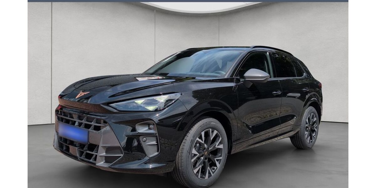 Cupra Terramar 9.521 km 40.480 &euro; Rendsburg 24768