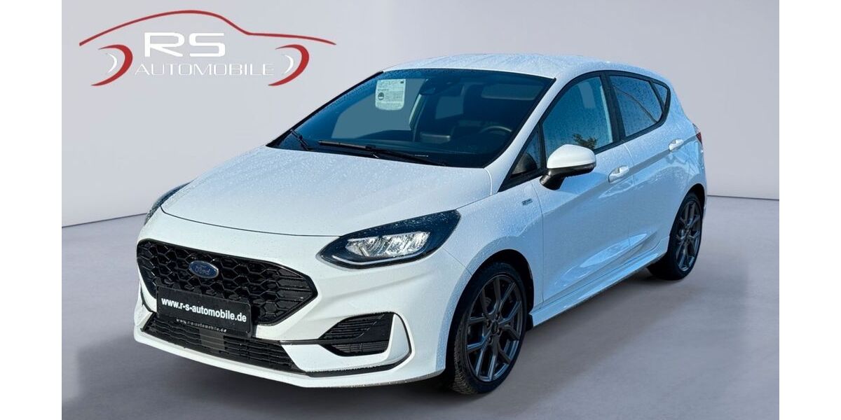 Ford Fiesta 99.800 km 13.400 &euro; Kropp 24848