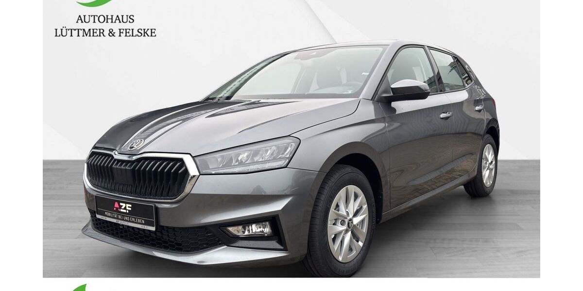 Skoda Fabia 1.055 km 21.990 &euro; Schleswig 24837