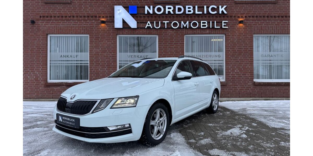 Skoda Octavia 137.800 km 13.490 &euro; Schleswig 24837