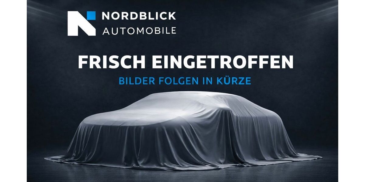 BMW X3 176.075 km 15.490 &euro; Schleswig 24837
